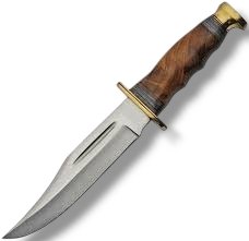 Stainless steel Blade Bowie 